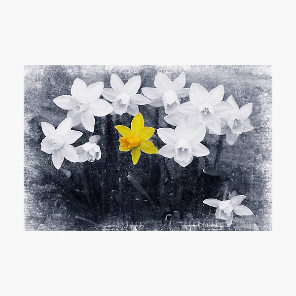 Family Portrait and the Non Conformist Photographic Print