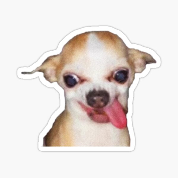 Item preview, chihuahaha designed and sold by meme beast.