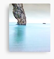 Jurassic Coast Canvas Print
