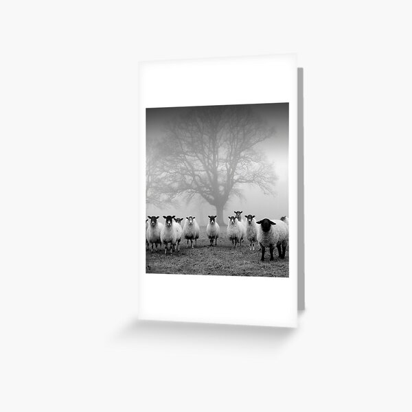 Item preview, The Tree Guardians designed and sold by John Trent.
