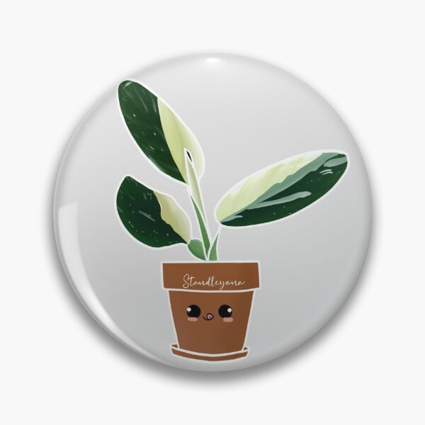 Item preview, Monstera standleyana  designed and sold by GelsGarden.