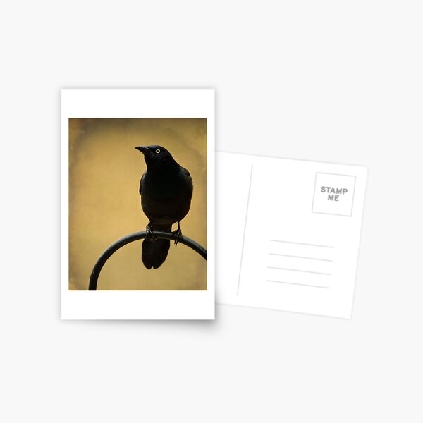 Item preview, Common Grackle Portrait designed and sold by Renee Blake.