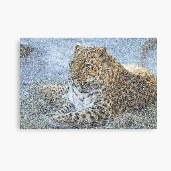 hi Canvas Print