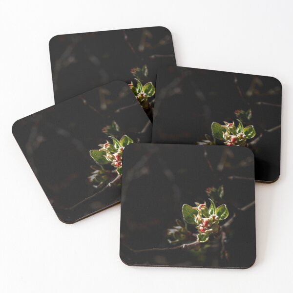 Item preview, The bud, an artistically processed photo, looks really good designed and sold by Rostislav Bouda.