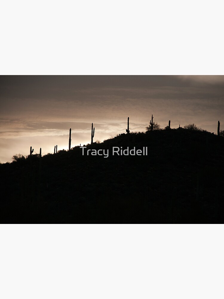Cacti on the Ridge by taos