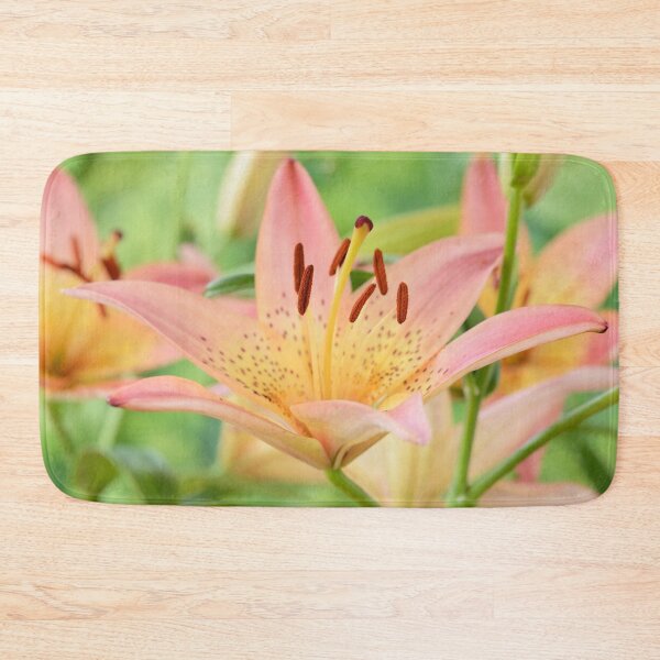 Item preview, Lilium  'Pink Pixie'  Dwarf Asiatic lily   designed and sold by Chris Burrows.