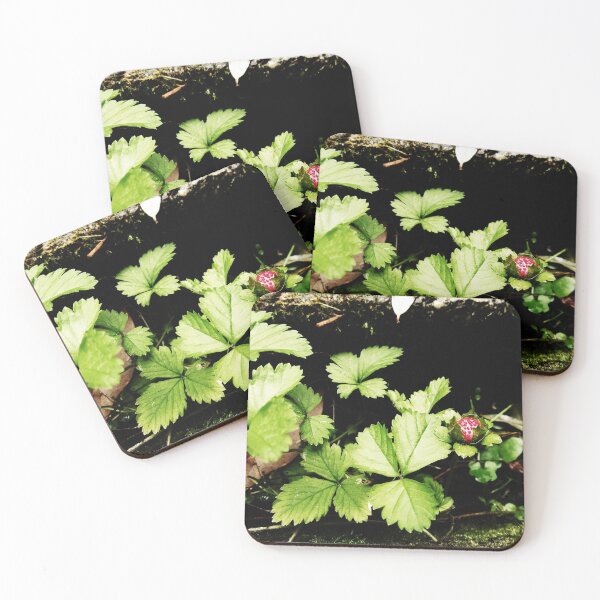 Item preview, Strawberry Fields Forever In Lock Down  04/18/20 14:00 designed and sold by Mark Polk.