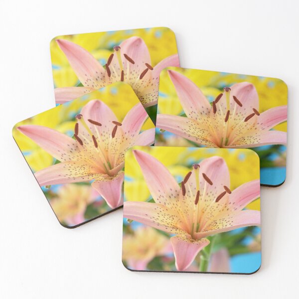 Item preview, Lilium  'Pink Pixie'  Dwarf Asiatic lily   designed and sold by Chris Burrows.