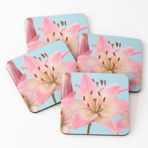 Item preview, Lilium  'Pink Pixie'  Dwarf Asiatic lily   designed and sold by Chris Burrows.
