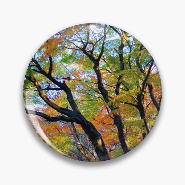 Item preview, Beautiful Autumn Trees designed and sold by WaterGardens.