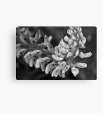 Flowering Metal Print