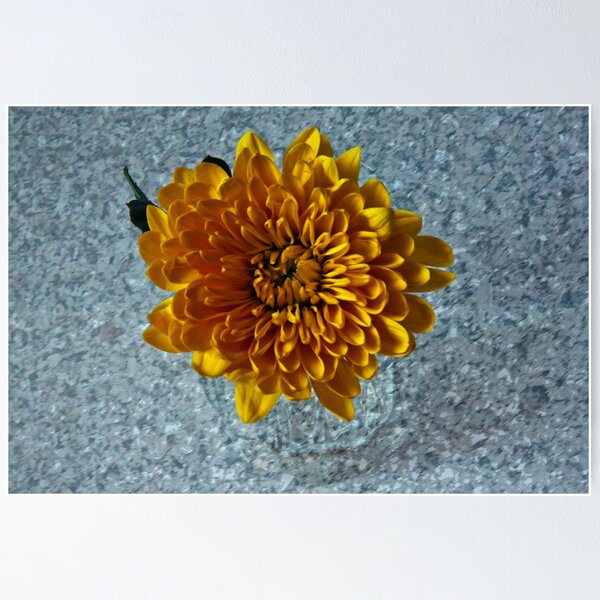 Item preview, Chrysanthemum designed and sold by Doug McRae.