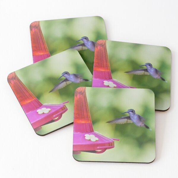 Item preview, Hummingbird Too designed and sold by chelsummers.