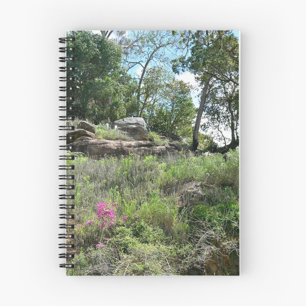 Item preview, Wildflowers in Kuringai National Park, NSW. designed and sold by Maggie Hegarty.