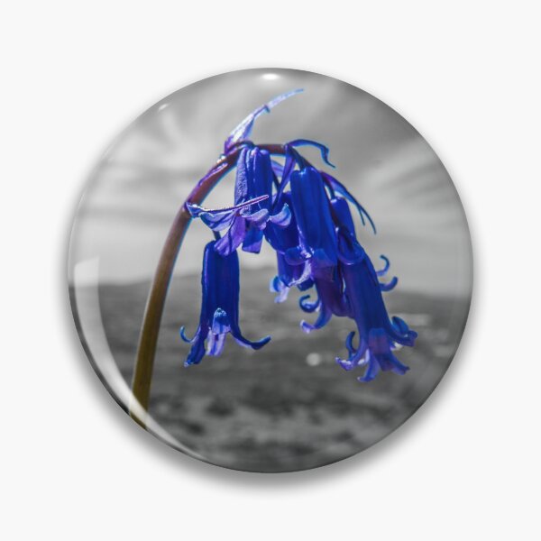 Item preview, Bluebell Colour pop designed and sold by DafyddEm.