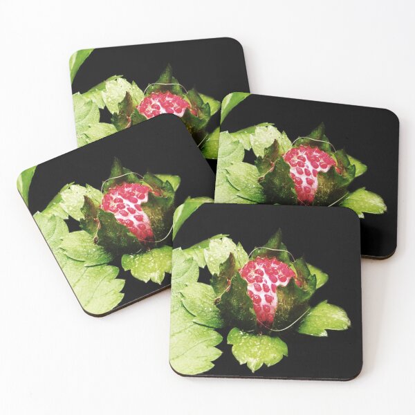 Item preview, Strawberry Fields Forever In Lock Down  04/18/20 15:28 v.2 designed and sold by Mark Polk.