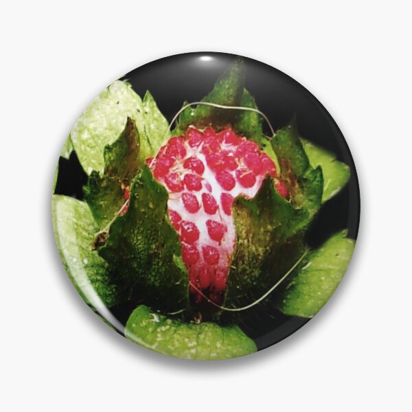 Item preview, Strawberry Fields Forever In Lock Down  04/18/20 15:28 v.2 designed and sold by Mark Polk.