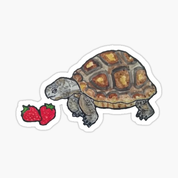 Happy Tortoise Sticker