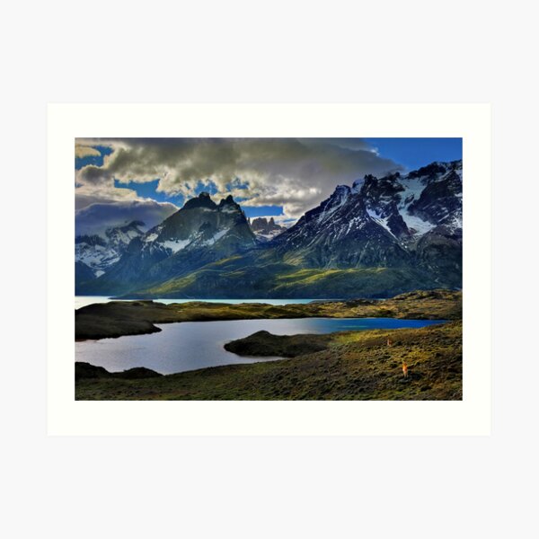 Guanacos and the Massif Art Print