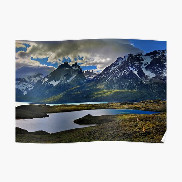 Guanacos and the Massif Poster