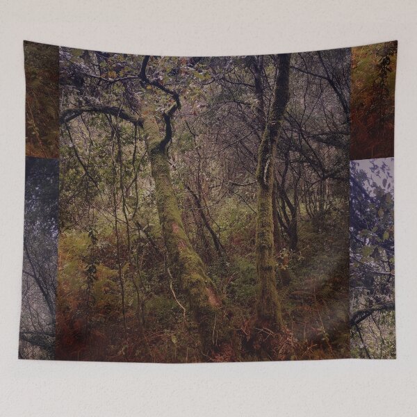 Item preview, Dense forest  designed and sold by LoraSi.