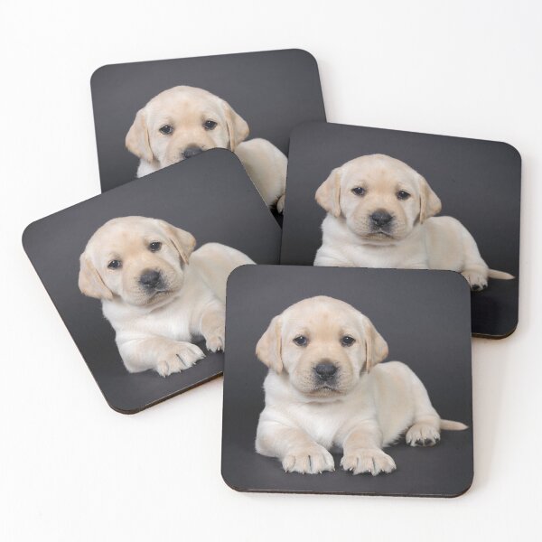 Item preview, Yellow Labrador retriever puppy on black background designed and sold by PetsArt.