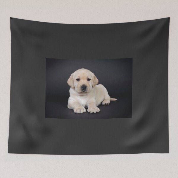 Item preview, Yellow Labrador retriever puppy on black background designed and sold by PetsArt.