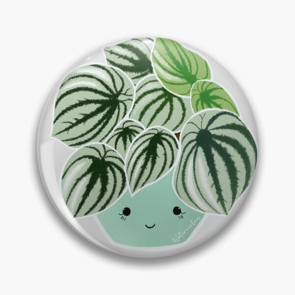 Item preview, Watermelon peperomia designed and sold by GelsGarden.