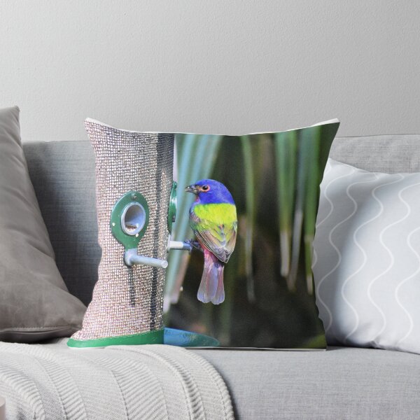 Item preview, Painted Bunting designed and sold by Chel Summers .