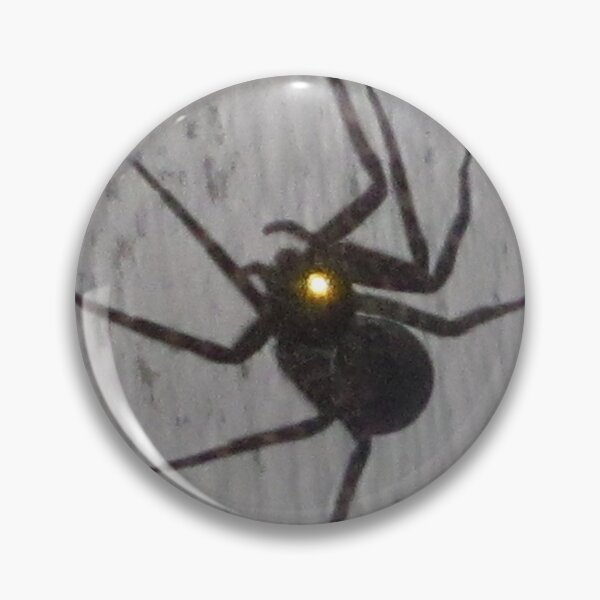 The Cyclospider Pin