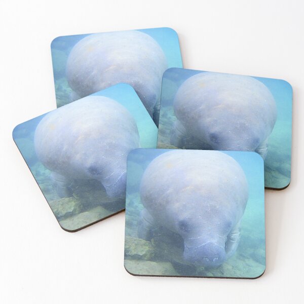Item preview, Manatee designed and sold by chelsummers.