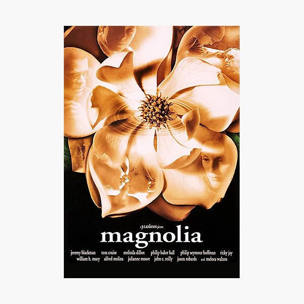 Magnolia Photographic Print