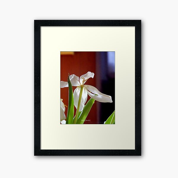 tulip {levels} Framed Art Print