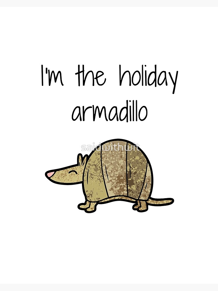 Friends Holiday Armadillo [Book]