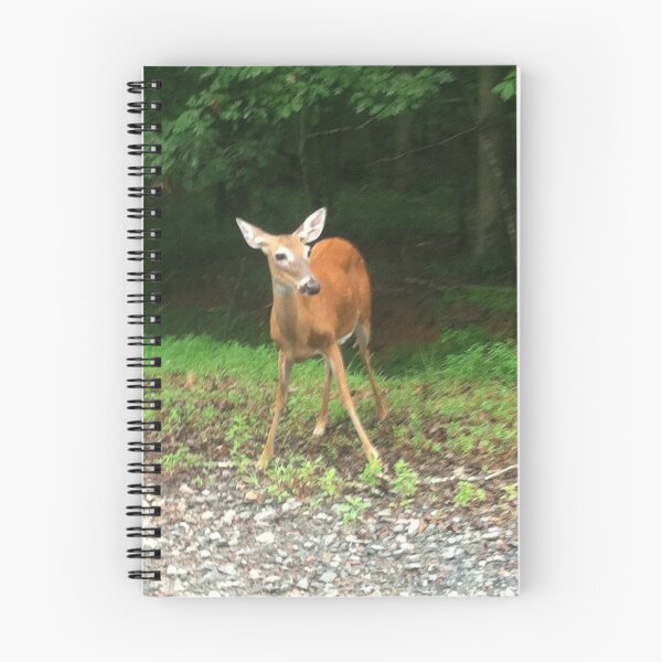 Item preview, Oh Deer designed and sold by Chel Summers .