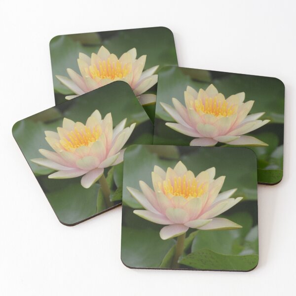 Item preview, Yellow-Peach Waterlily designed and sold by ginawaltersdorf.