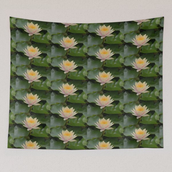 Item preview, Yellow-Peach Waterlily designed and sold by ginawaltersdorf.