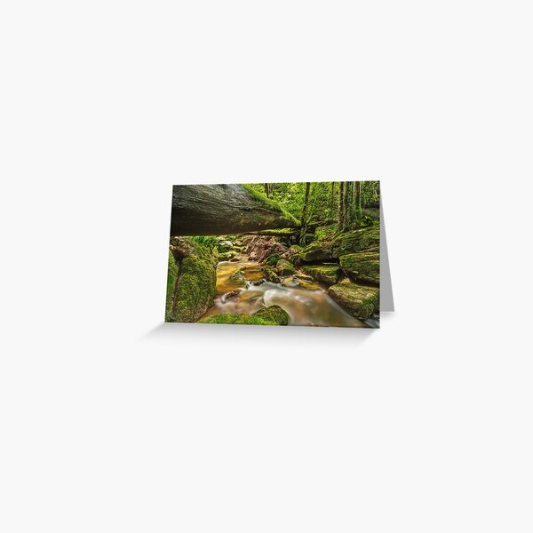 Fallen from Grace Greeting Card