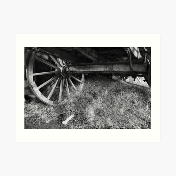 Wagon Wheel - Monte Christo Homestead, Junee NSW Australia Art Print