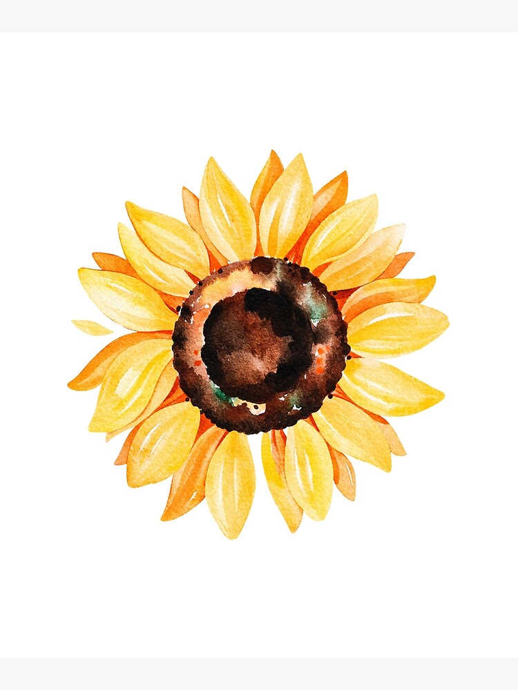 Watercolor sunflower, hand painted yellow flower by SouthPrints