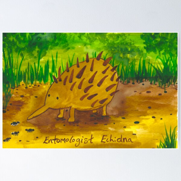 Item preview, Entomologist Echidna designed and sold by frothybetty.