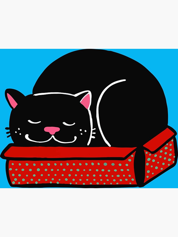 "Black Cat in a Box" Poster by evelynatwork Redbubble