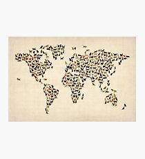 Cats Map of the World Map Photographic Print
