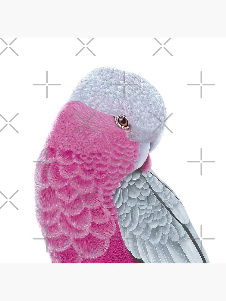 Thumbnail 3 of 3, Throw Pillow, Galah - Pink and Grey designed and sold by Nicole Grimm-Hewitt.