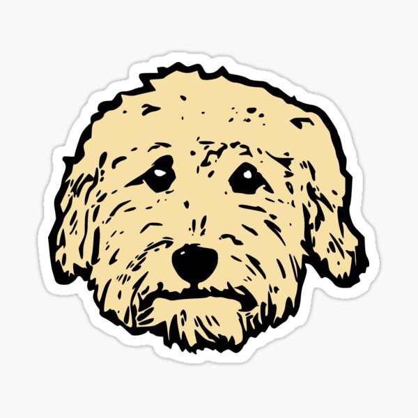 Apricot Doodles On White Cream Goldendoodle Black Labradoodle Adorable Poodles Teddy Bear Dog In Many Colors Sticker By Smooshfaceutd Redbubble