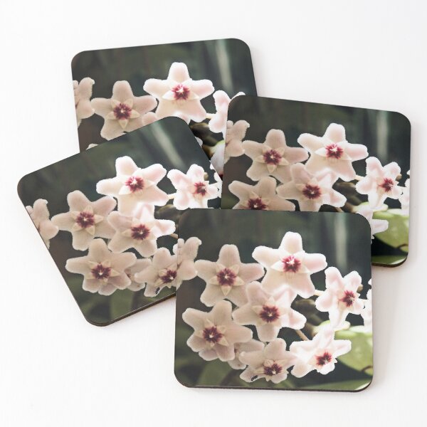 Item preview, Hoya and Ant designed and sold by Margaret Stevens.