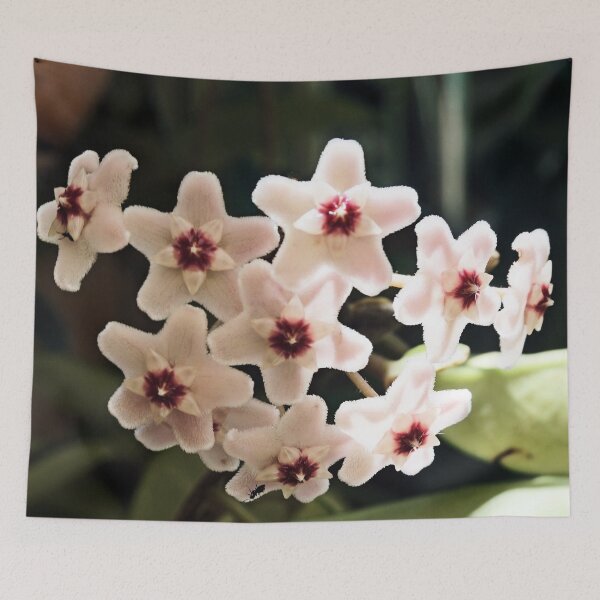 Item preview, Hoya and Ant designed and sold by Margaret Stevens.
