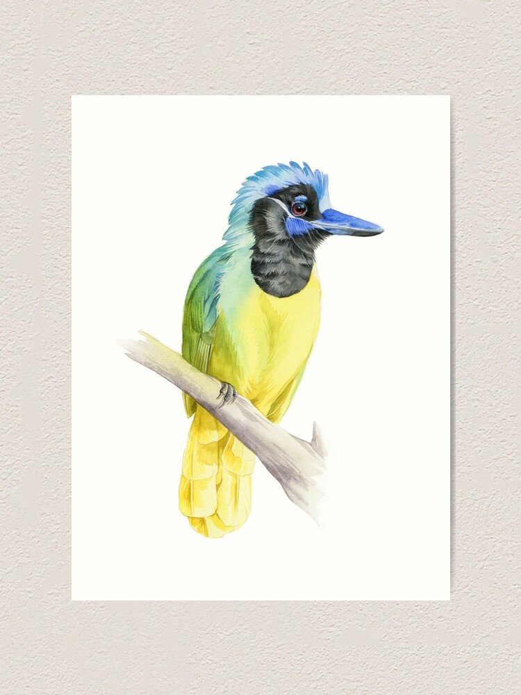 Alternate view of Greenjay Art Print
