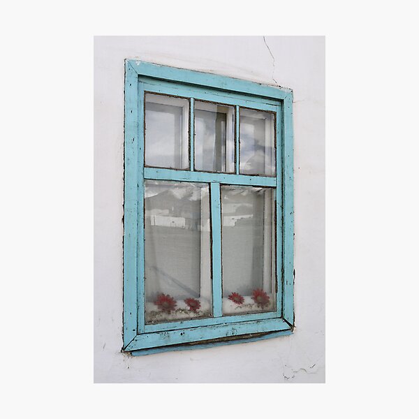 Karakul window - double glazing and red plastic flowers Photographic Print