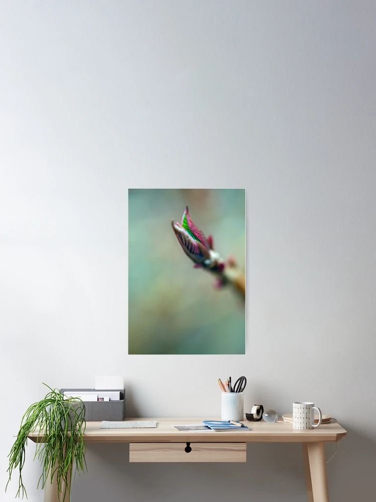 Thumbnail 2 of 3, Poster, Spring Springing designed and sold by alan shapiro.
